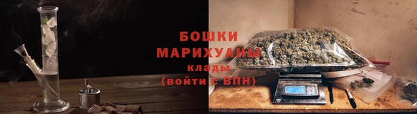 дурь Бронницы