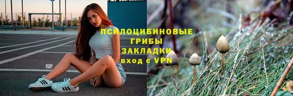 дурь Бронницы