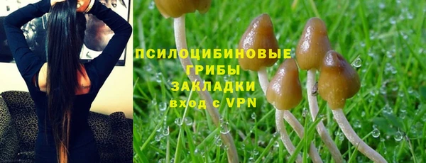 дурь Бронницы